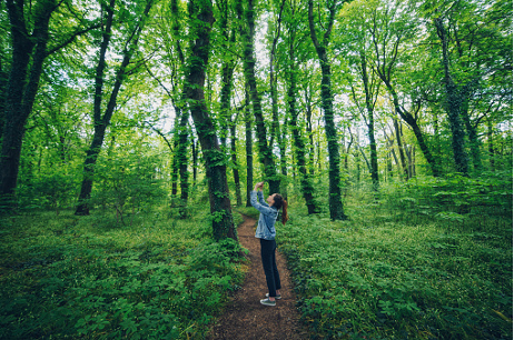 Frau fotografiert im Wald